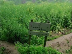 -八卦田遗址公园