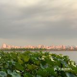 杭州旅游打卡暴走西湖攻略|苏堤——北山路——湖滨步行街