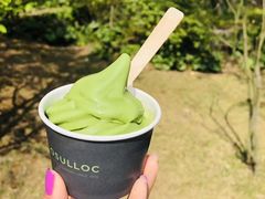 -雪绿茶博物馆
