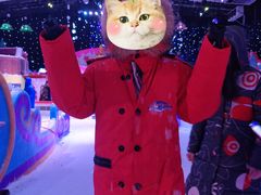 -梦幻奥陶纪景区