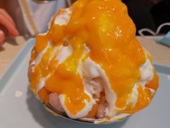 -王守财小山園