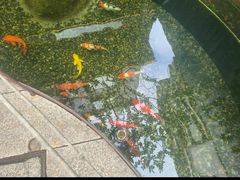-长禧小馆(沙湾古镇店)
