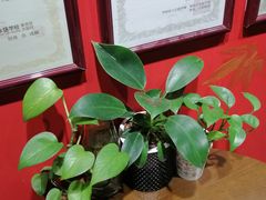 -学习谷日语培训日本留学·多语种外语教学(海淀人大分部)