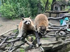 -宁波野生动物园