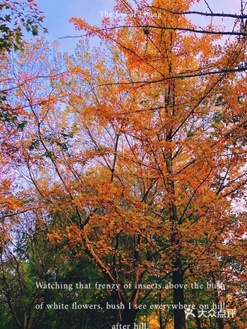 没有错过层林尽染的秋天