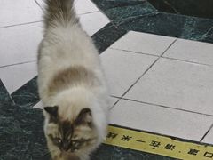 -剧狐剧本杀·月球探案馆(人民广场1号店)
