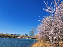 -大兴滨河森林公园