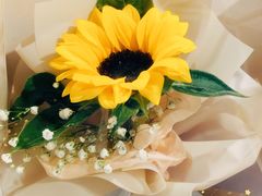 -曲阳花鸟市场(曲阳路店)