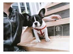 -隹木咖啡馆(宝龙广场店)