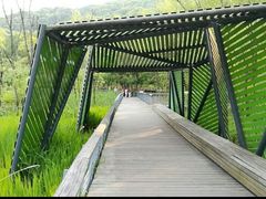 -西湖风景区-江洋畈生态公园