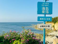 -养马岛旅游度假区