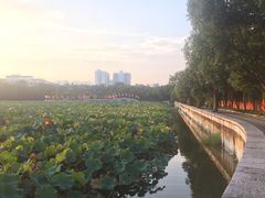 -建水文庙
