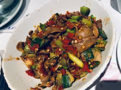 -壹盏灯(惠农店)