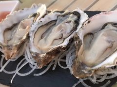 -LENBACH兰巴赫西餐啤酒坊(大连东港店)