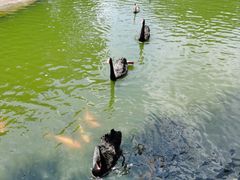 -海南热带野生动植物园