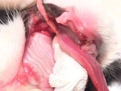 -惠康宠物医院(华能路店)