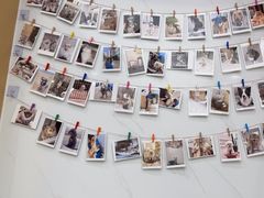 -瑞派康怡24h宠物医院·犬猫医疗中心·微创绝育(瑞景分院)