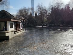 -团结湖公园