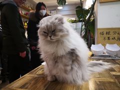 -小时光咖啡馆(北锣鼓巷店)