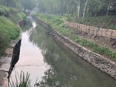 -北坞公园