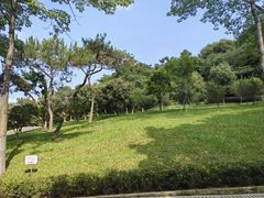 -玉树公园