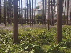 -上海虹桥迎宾馆