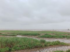 -南汇嘴观海公园