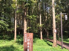 -黄海国家森林公园