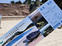 -广东惠东海龟国家级自然保护区