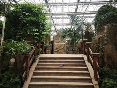 -南宫五洲植物乐园