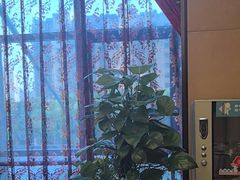-扬州泰润大酒店-餐厅