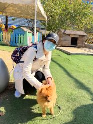 -萌宠亲子动物乐园(槐房万达店)