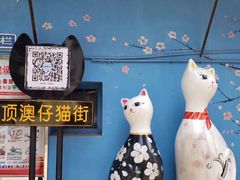 -猫咪博物馆(顶澳仔猫街店)
