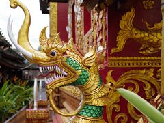 -西双版纳傣族园