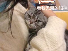 -藦茜花园宠物主题亲子互动体验馆(国顺东路店)