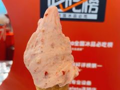 -野人先生现做冰淇淋(北京王府井东方新天地店)