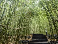 -西部长青自然儿童乐园