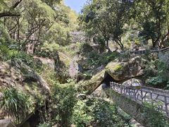 -青芝山风景名胜区