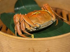 -成隆行·蟹王府(淮海店)
