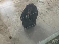 -新疆天山野生动物园