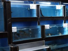 -岭南海晏楼(东晓南店)