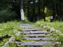 -四川大学(江安校区)