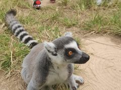 -济南野生动物世界