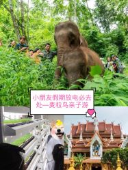 -麦粒鸟亲子游