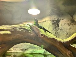 -Zoolung Zoolung动物主题公园(海信广场店)