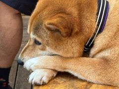 -鼎泰丰(环贸店)