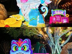 -星湖旅游景区七星岩