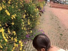 -祝甸砖窑文化馆