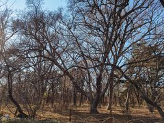 -长春市南湖公园