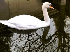 -北京市海淀外国语实验学校